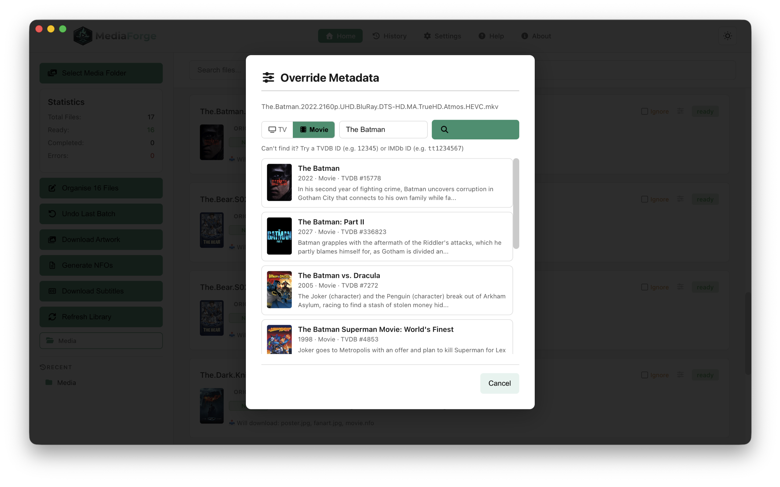Media Forge — light mode search