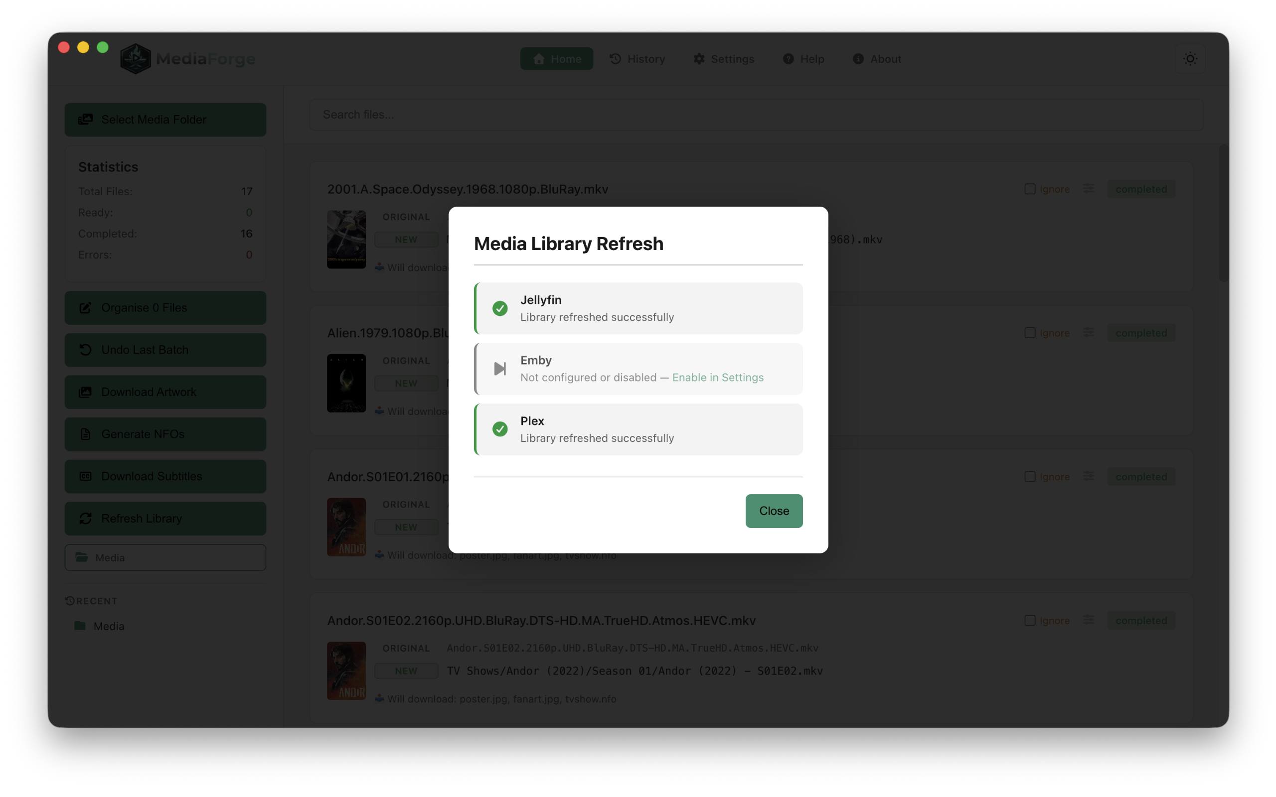 Media Forge — light mode refresh