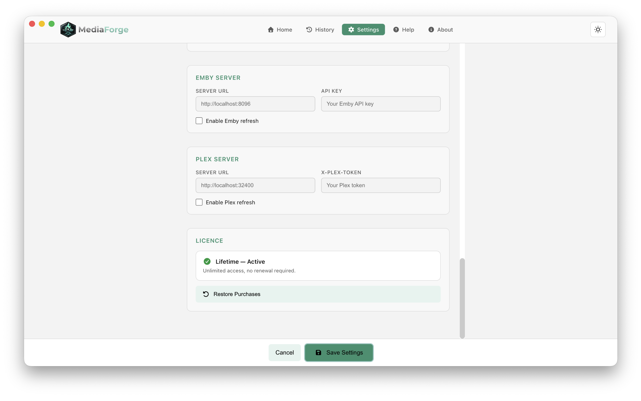 Media Forge — light mode